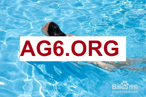 法甲看点场次：里昂 vs 蒙彼利埃